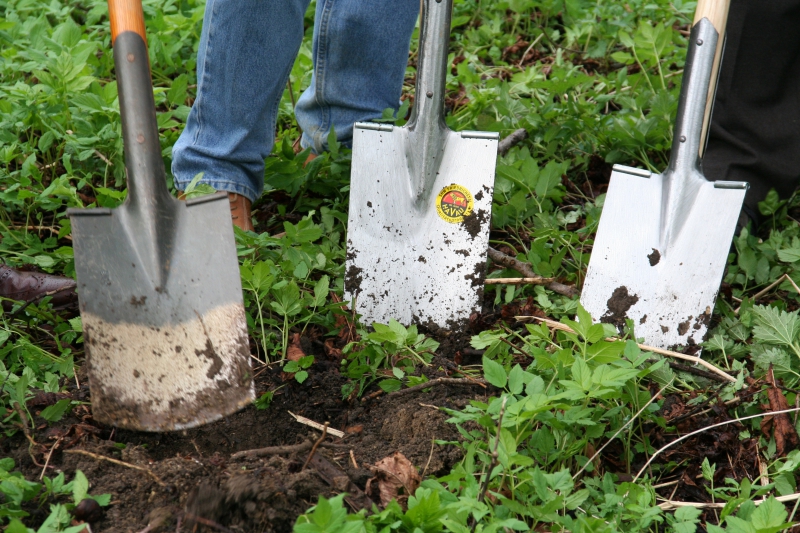 pepiniere-TRIGANCE-min_work-lawn-flower-tool-green-backyard-1103633-pxhere.com